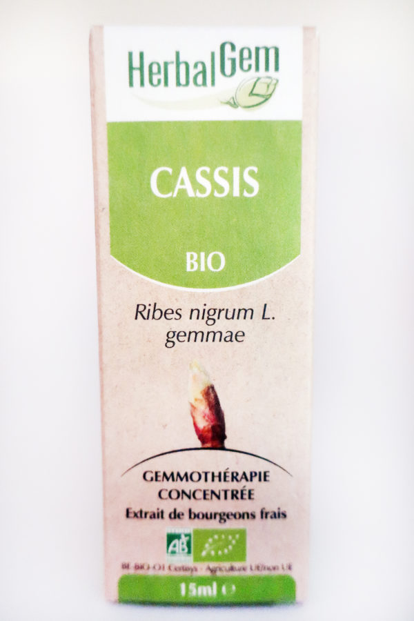 Cassis-phytotherapie-Lille