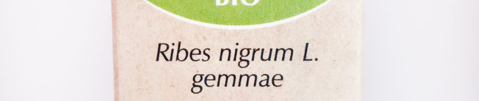 Un des bourgeons phares pour l’automne : le cassis