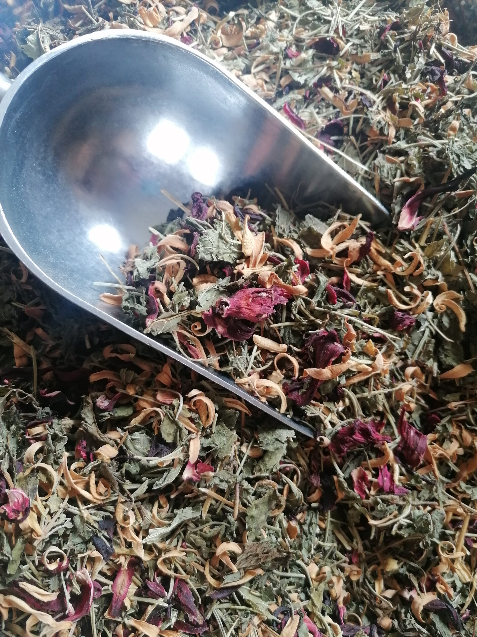 Phytologie et Aromathérapie
