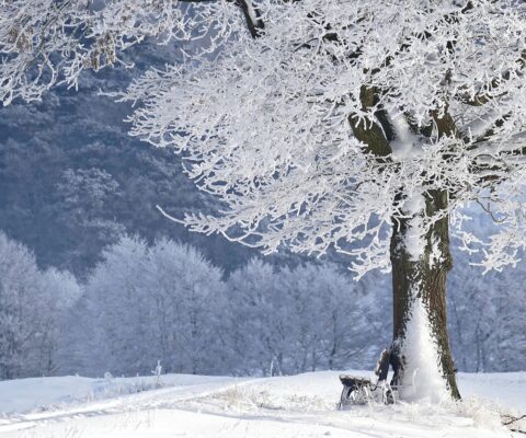 Soins hiver-lanatureatoutprevu