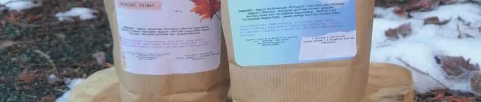 Quelques plantes médicinales d’automne/hiver